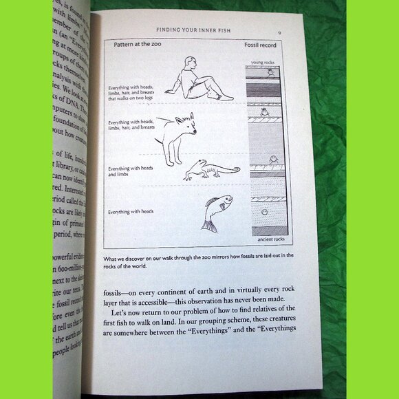 Book -  Your Inner Fish: A 3.5-Billion-Year History of the Human Body - Picture 5 of 14